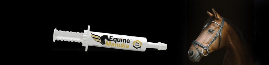 horse wound care syringe